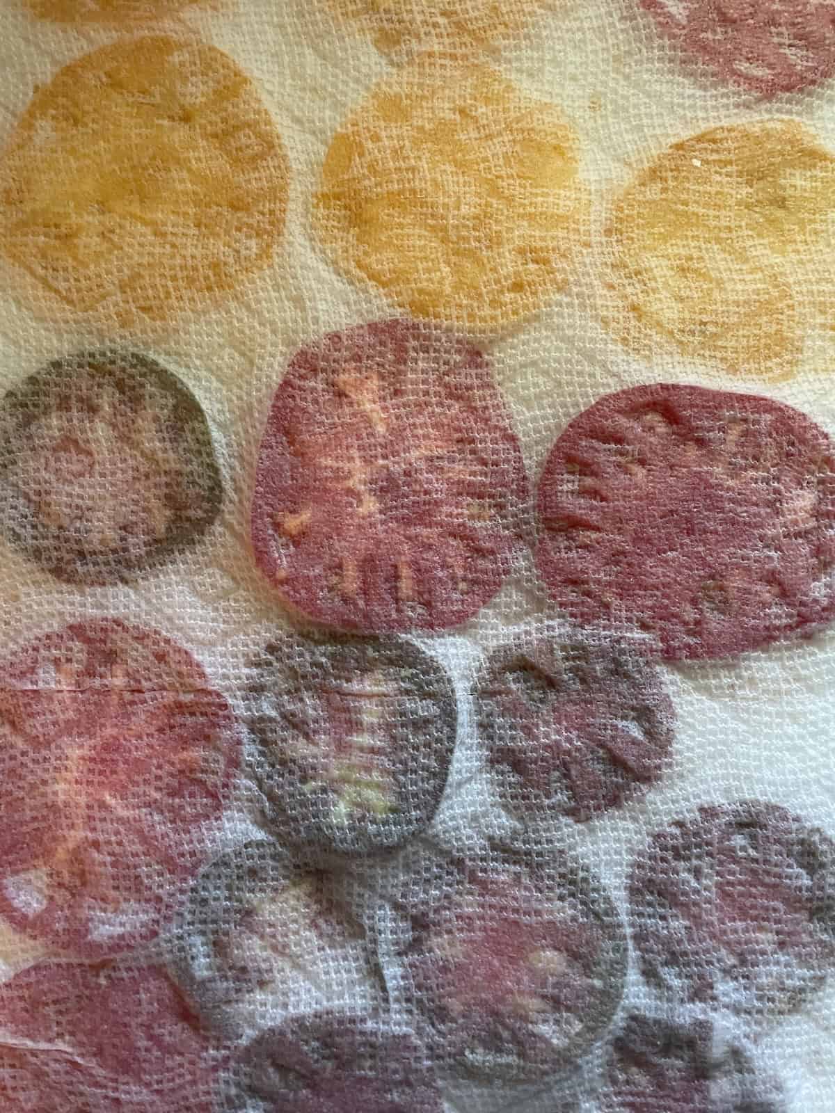 tomatoes blotted with paper towels