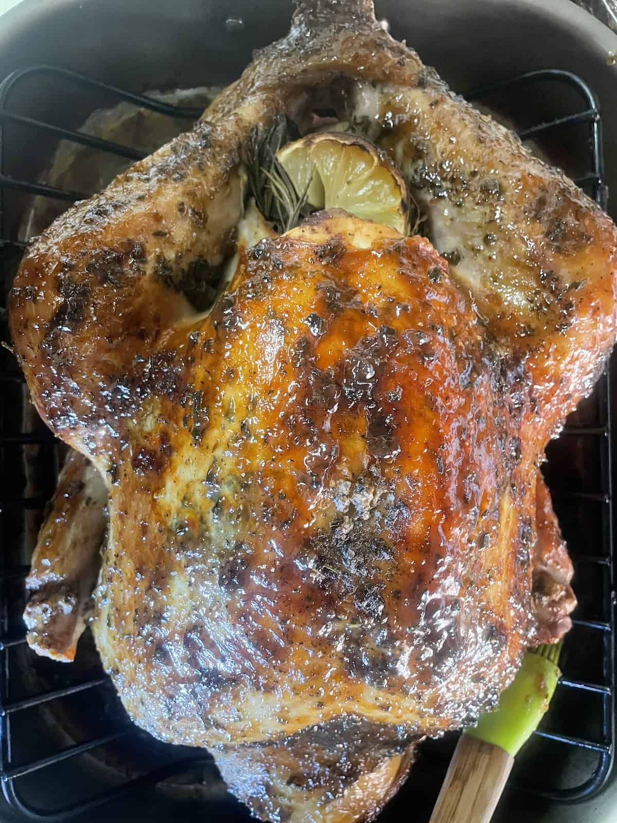 fig and balsamic glazed brushed on turkey