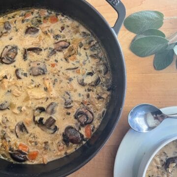 Lemony Chicken, Mushroom and Wild Rice Soup