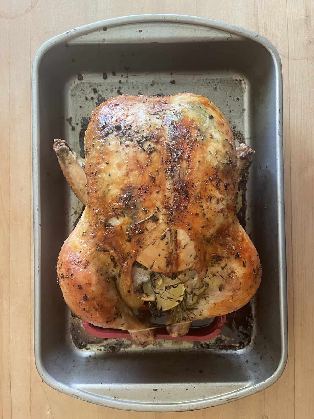 Olive Brine Roast Chicken with Herb Butter finished