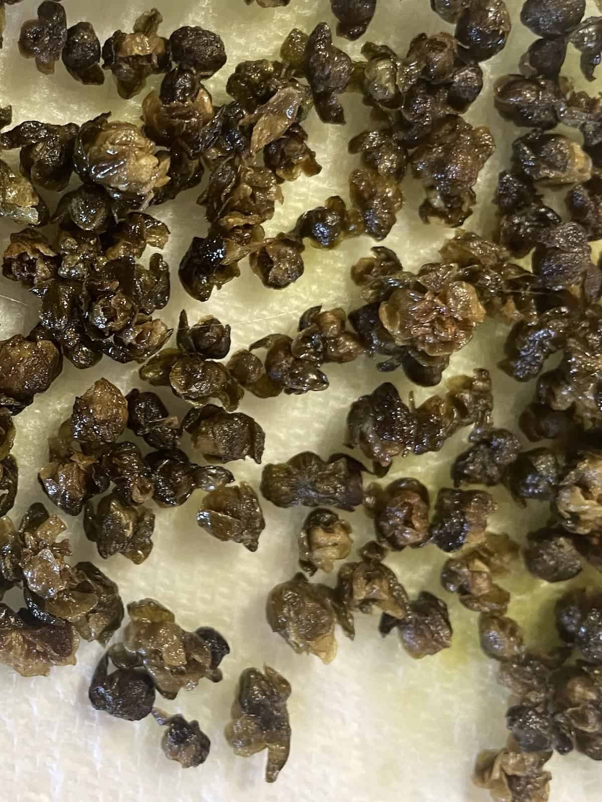 fried capers draining
