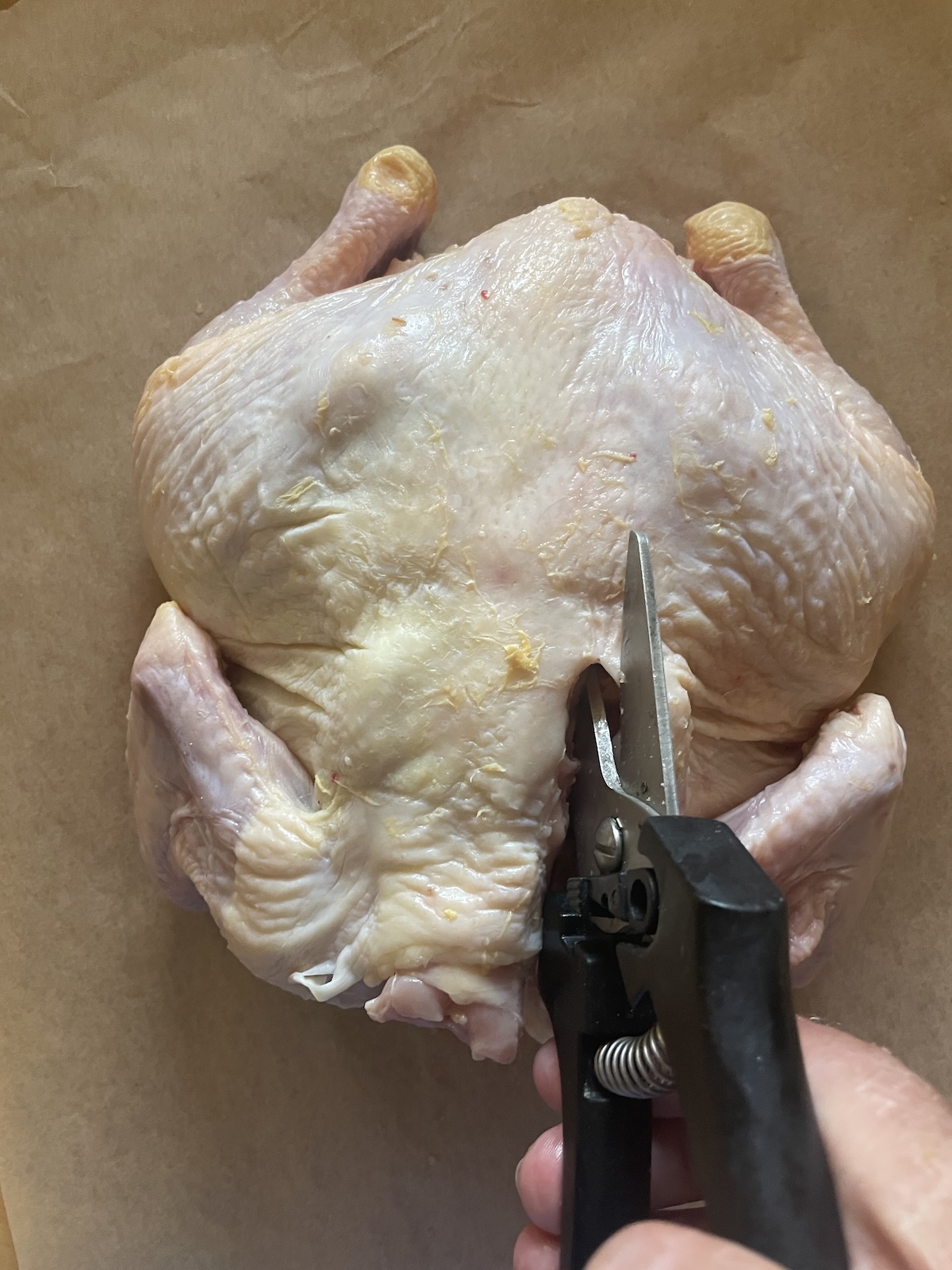 spatchcocking chicken