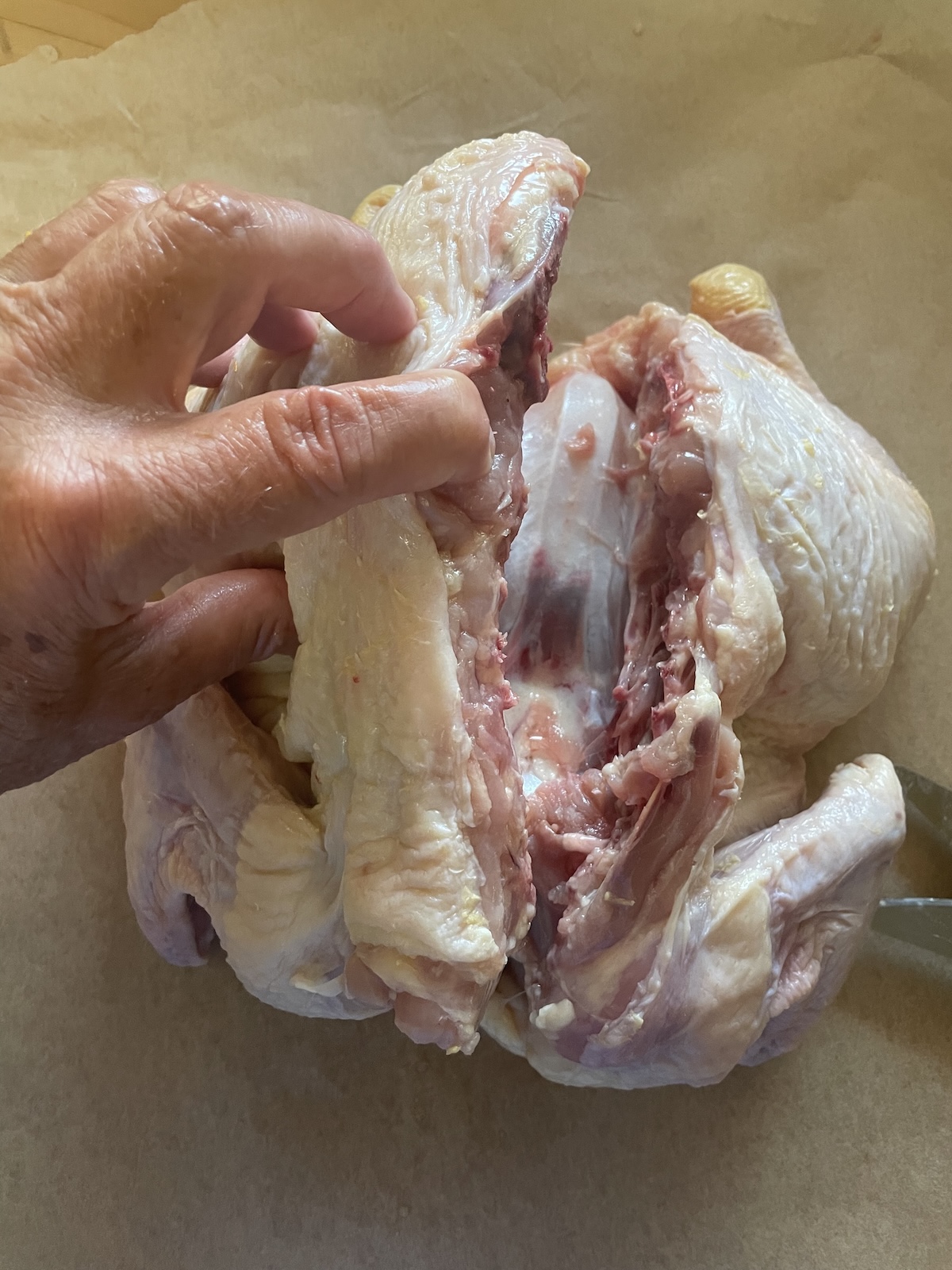 spatchcocking chicken