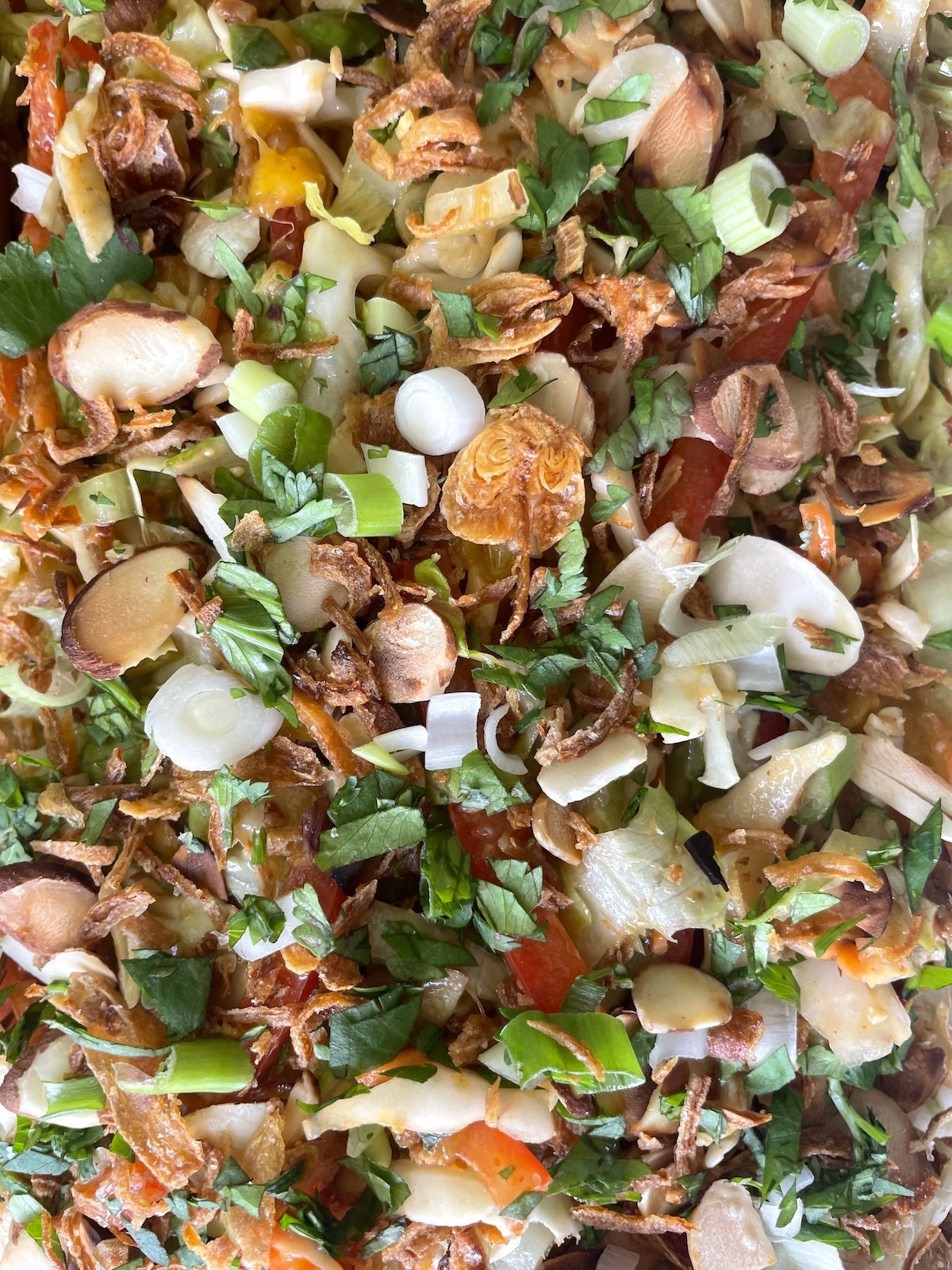 top with reserved scallions, almonds, French friend onions and cilantro.
